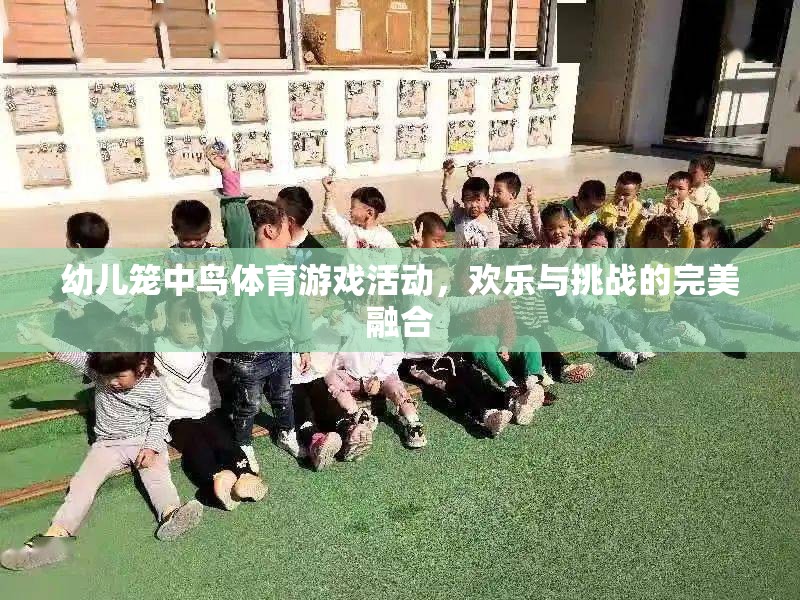 籠中鳥體育游戲，歡樂與挑戰(zhàn)的完美融合