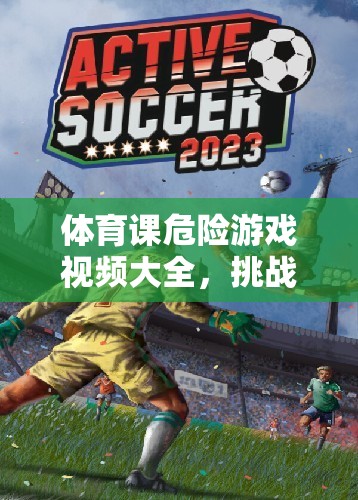 挑戰(zhàn)極限，體育課危險游戲視頻大全，刺激與風(fēng)險并存