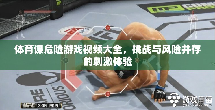 挑戰(zhàn)極限，體育課危險游戲視頻大全，刺激與風(fēng)險并存