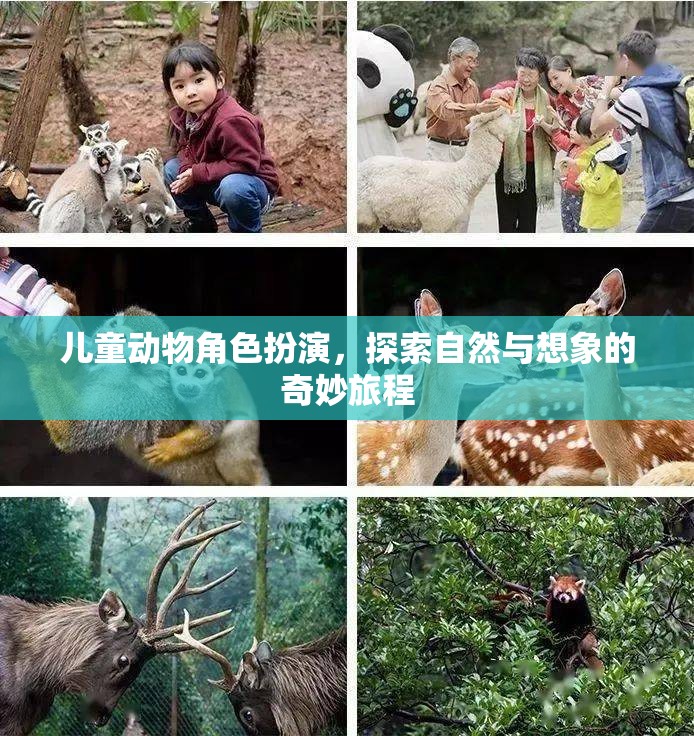 兒童動(dòng)物角色扮演，探索自然與想象的奇妙旅程