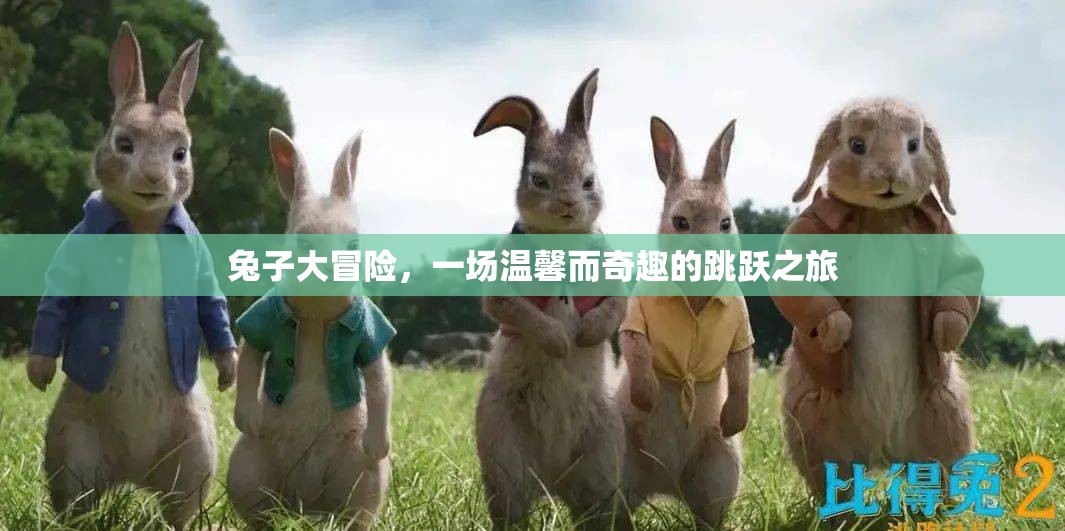 兔子大冒險(xiǎn)，一場(chǎng)溫馨而奇趣的跳躍之旅
