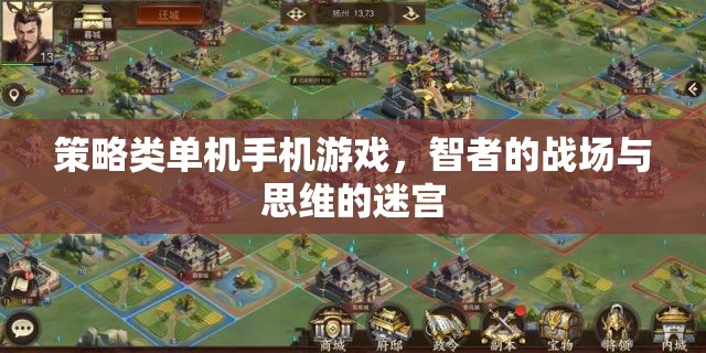 智者的戰(zhàn)場(chǎng)與思維的迷宮，策略類單機(jī)手機(jī)游戲的深度探索  第2張