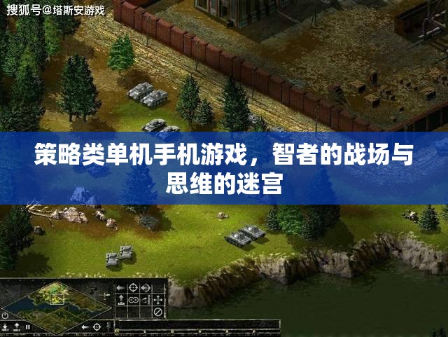 智者的戰(zhàn)場(chǎng)與思維的迷宮，策略類單機(jī)手機(jī)游戲的深度探索  第1張