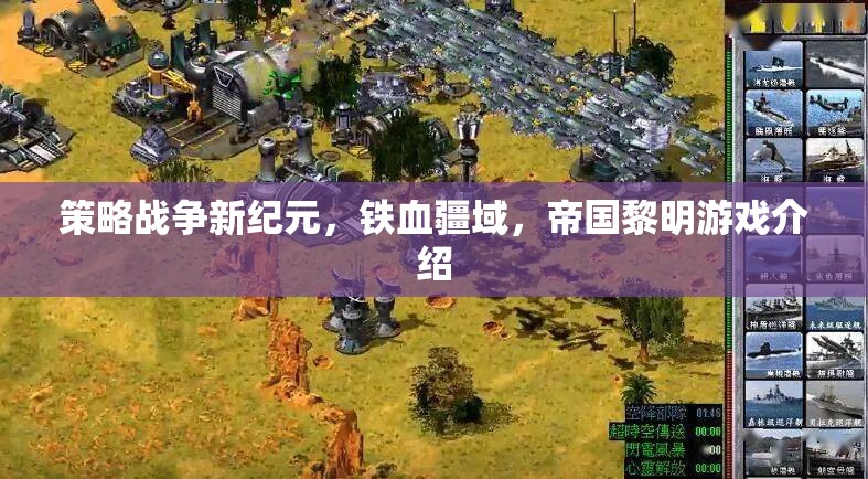 鐵血疆域，策略戰(zhàn)爭新紀(jì)元與帝國黎明的游戲解析  第2張