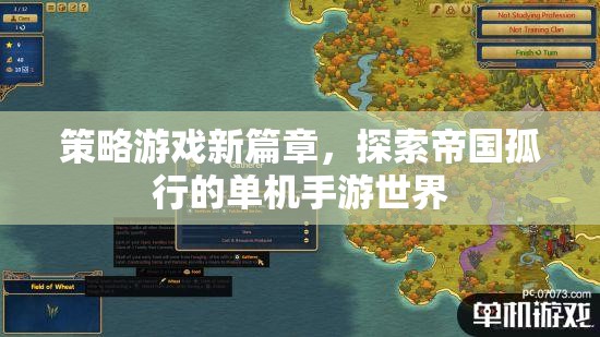 策略游戲新篇章，探索帝國孤行的單機手游世界