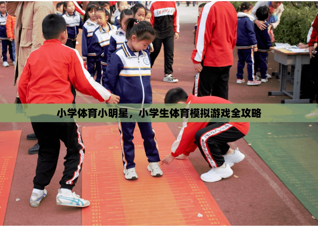 小學體育小明星，小學生體育模擬游戲全攻略  第1張