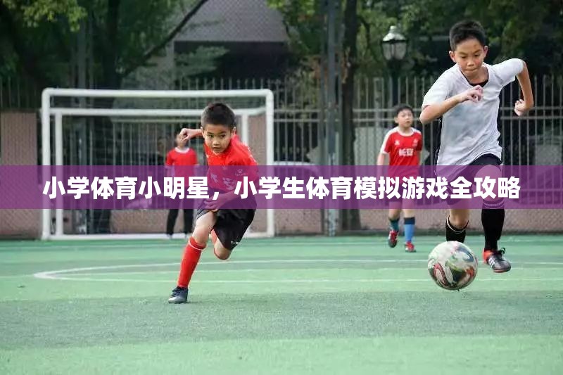 小學體育小明星，小學生體育模擬游戲全攻略  第3張