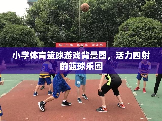 活力籃球樂(lè)園，小學(xué)體育的激情背景圖
