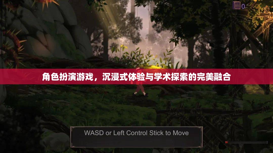 角色扮演游戲，沉浸式體驗(yàn)與學(xué)術(shù)探索的完美融合