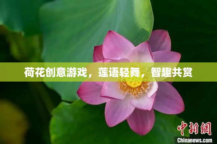 蓮語輕舞，荷花創(chuàng)意游戲，智趣共賞的夏日盛宴