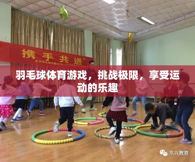 挑戰(zhàn)極限，享受運動樂趣，羽毛球體育游戲之旅