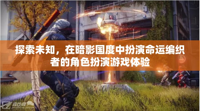 暗影國(guó)度，探索未知的命運(yùn)編織者角色扮演游戲體驗(yàn)