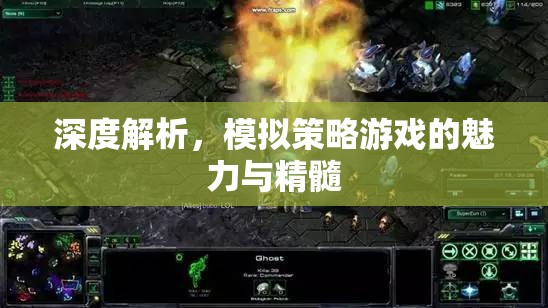 深度探索，模擬策略游戲的魅力與精髓