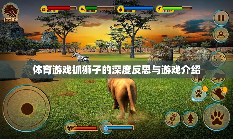 深度反思與游戲介紹，體育游戲中的抓獅子體驗