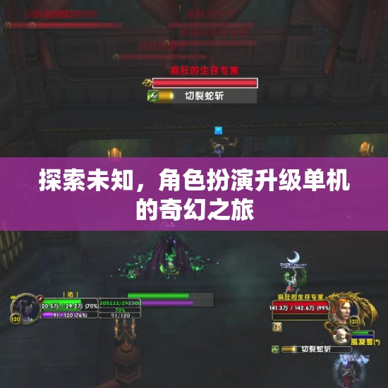 探索未知，角色扮演升級單機的奇幻之旅