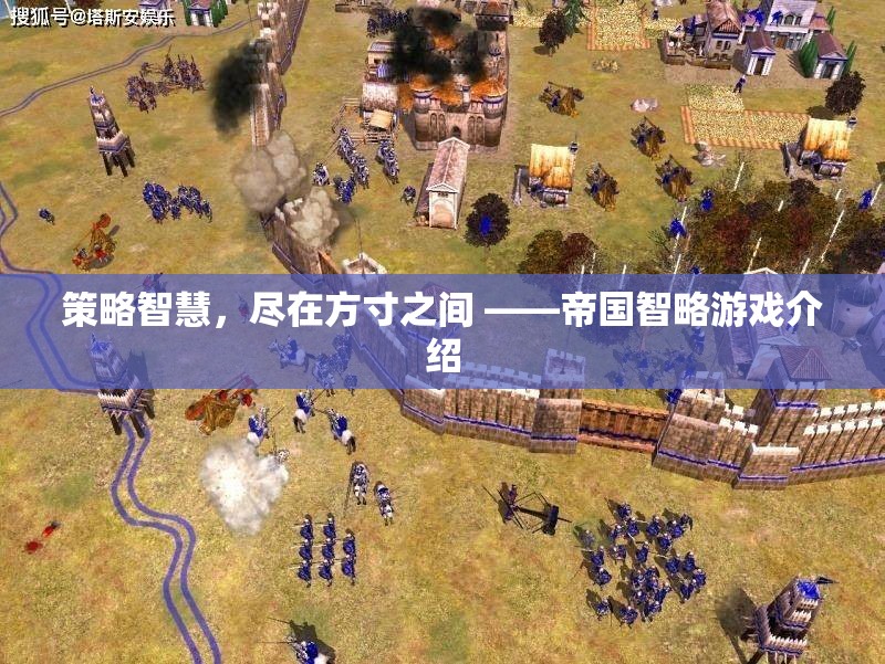 方寸之間，盡顯策略智慧 —— 帝國(guó)智略游戲深度解析