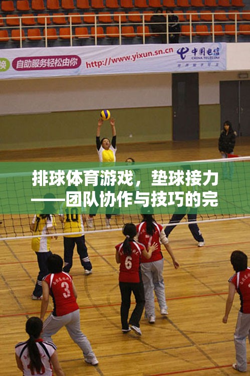 墊球接力，排球體育游戲中的團(tuán)隊(duì)協(xié)作與技巧碰撞