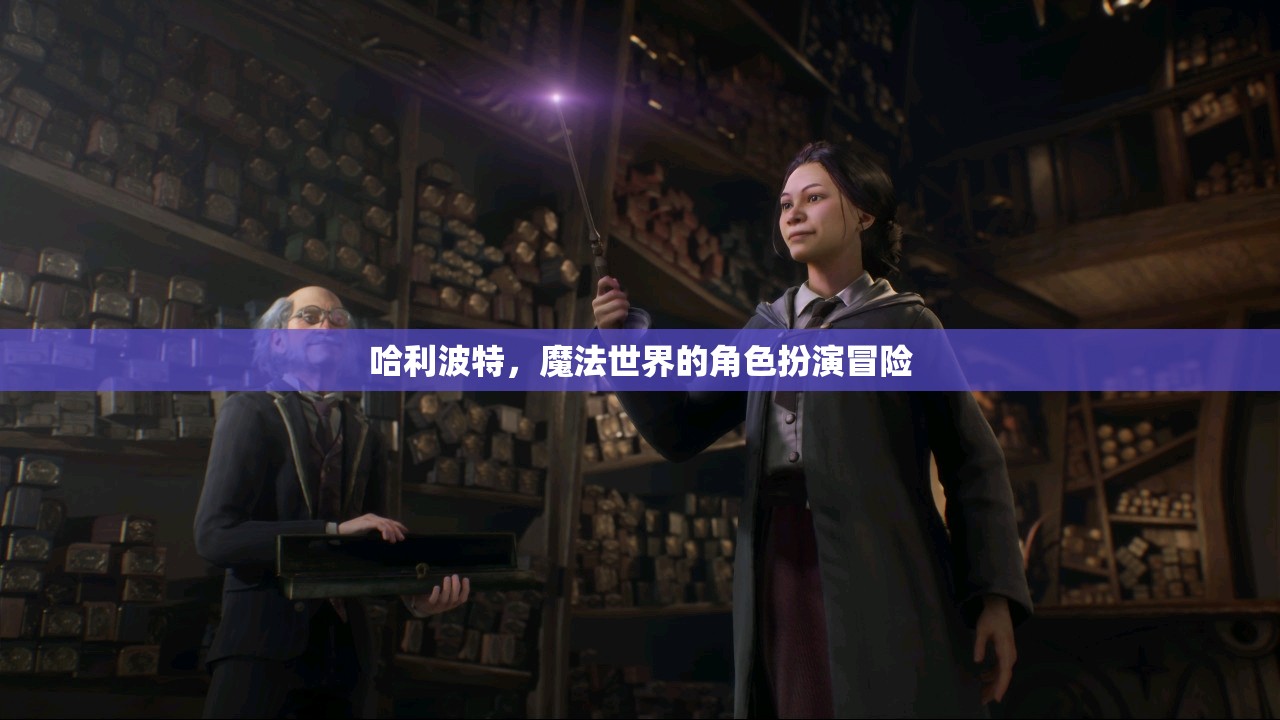 哈利波特，魔法世界的角色扮演冒險