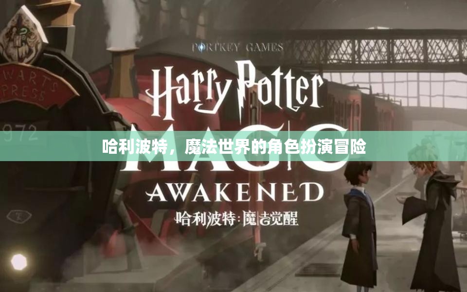 哈利波特，魔法世界的角色扮演冒險