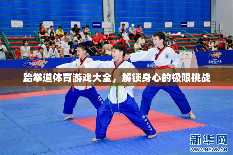 跆拳道體育游戲大全，解鎖身心極限的挑戰(zhàn)之旅