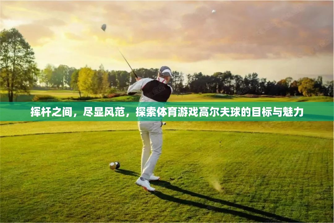 揮桿之間，盡顯風(fēng)范，探索體育游戲高爾夫球的目標(biāo)與魅力
