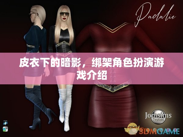 皮衣下的暗影，揭秘綁架角色扮演游戲的魅力與挑戰(zhàn)