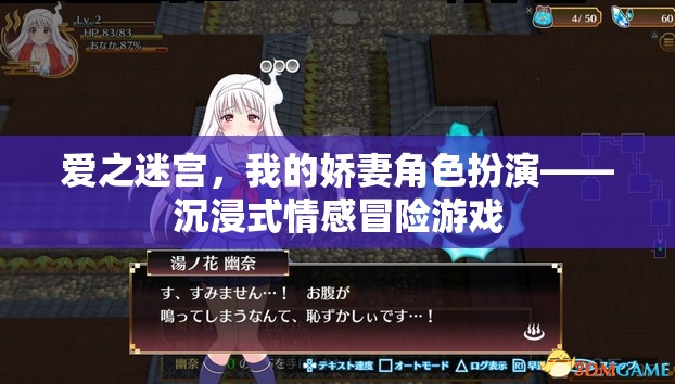 愛之迷宮，我的嬌妻角色扮演——探索情感冒險的沉浸式游戲