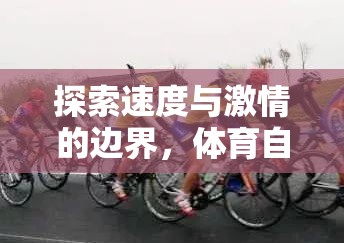速度與激情的極限挑戰(zhàn)，體育自行車游戲的魅力之旅