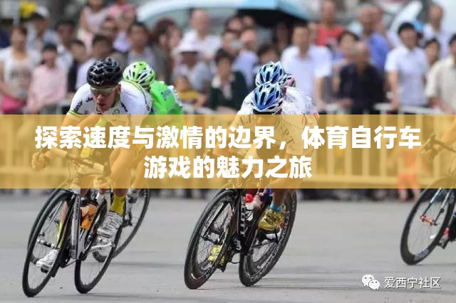 速度與激情的極限挑戰(zhàn)，體育自行車游戲的魅力之旅