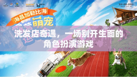 洗發(fā)店里的角色扮演，一場(chǎng)別開生面的奇遇
