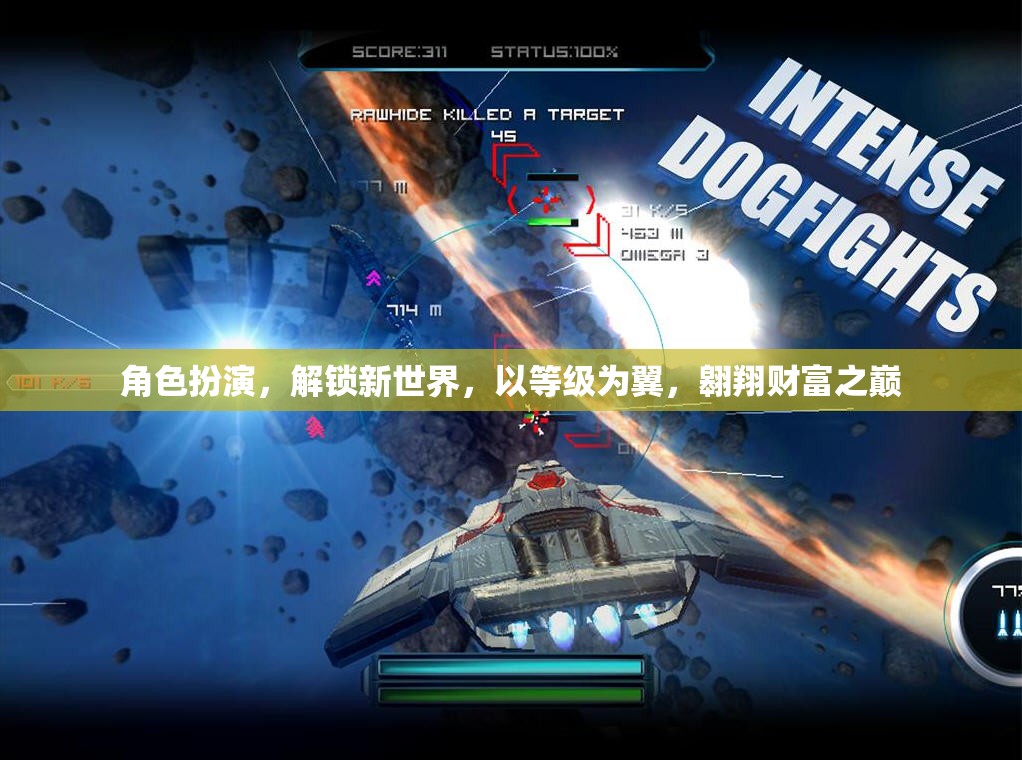 角色扮演，解鎖新世界，以等級(jí)為翼翱翔財(cái)富之巔
