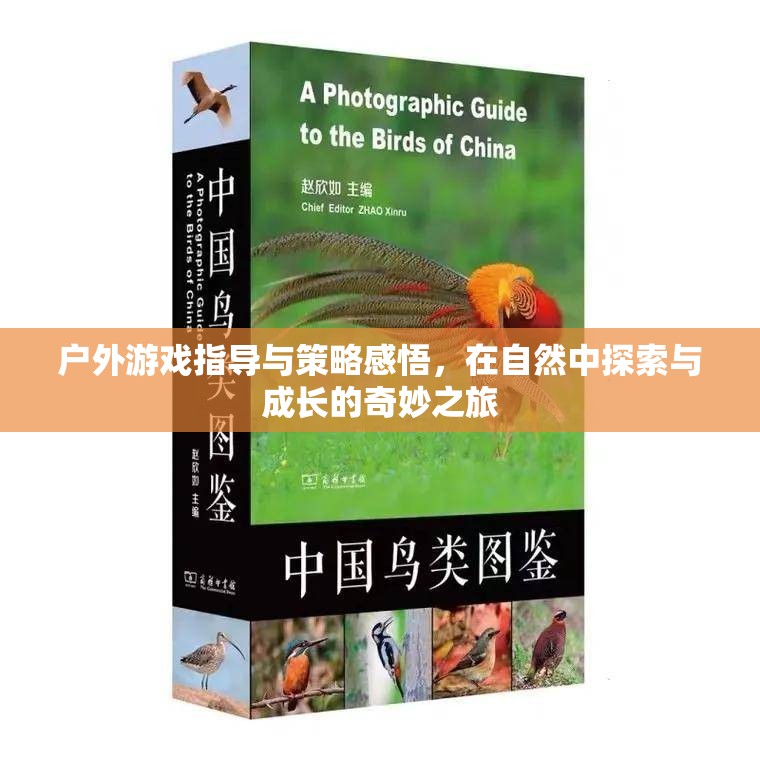 自然探索與成長(zhǎng)，戶(hù)外游戲指導(dǎo)與策略感悟的奇妙之旅  第1張
