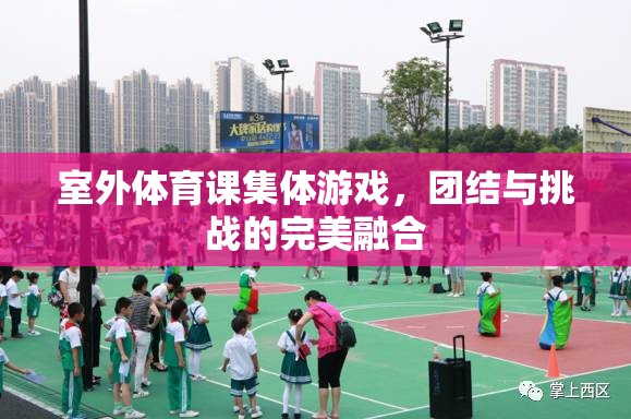 室外體育課集體游戲，團(tuán)結(jié)與挑戰(zhàn)的完美融合
