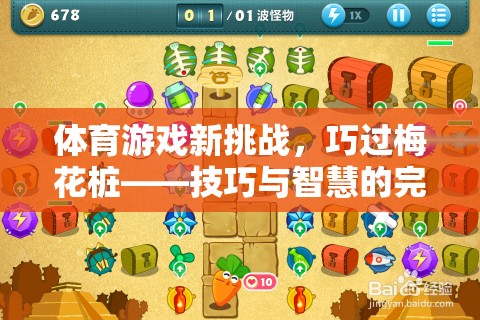 巧過梅花樁，體育游戲新挑戰(zhàn)中的技巧與智慧完美融合