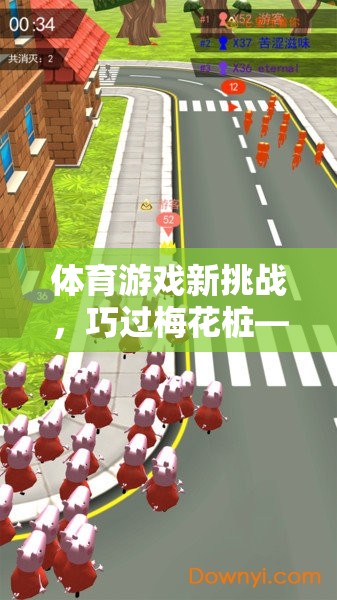 巧過梅花樁，體育游戲新挑戰(zhàn)中的技巧與智慧完美融合