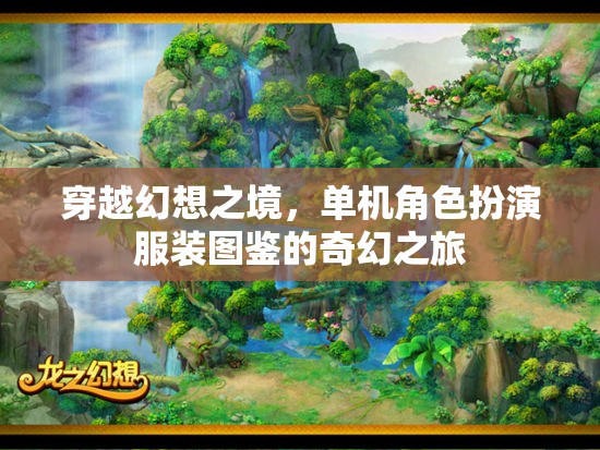 穿越幻想之境，單機(jī)角色扮演服裝圖鑒的奇幻之旅