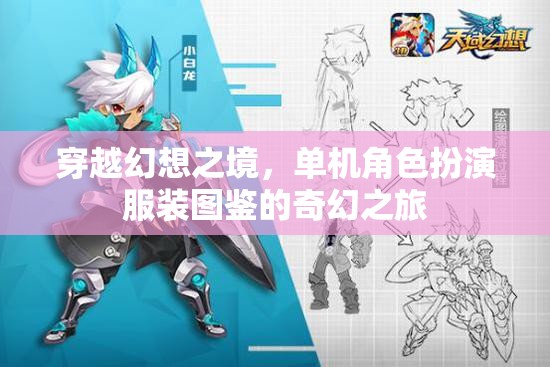 穿越幻想之境，單機(jī)角色扮演服裝圖鑒的奇幻之旅