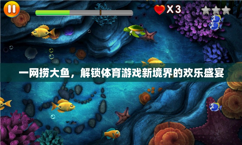 解鎖體育游戲新境界，一網(wǎng)撈大魚的歡樂盛宴