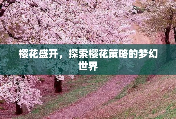 櫻花盛開，解鎖櫻花策略的夢幻之旅