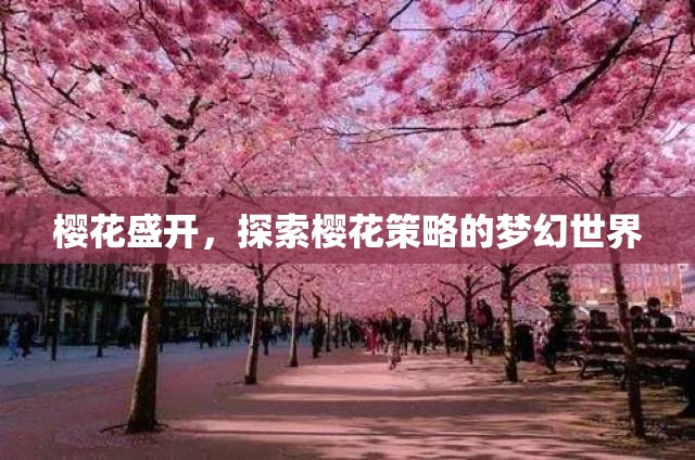 櫻花盛開，解鎖櫻花策略的夢幻之旅