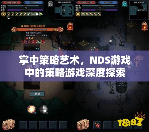 NDS游戲中的策略藝術(shù)，掌中策略的深度探索  第1張