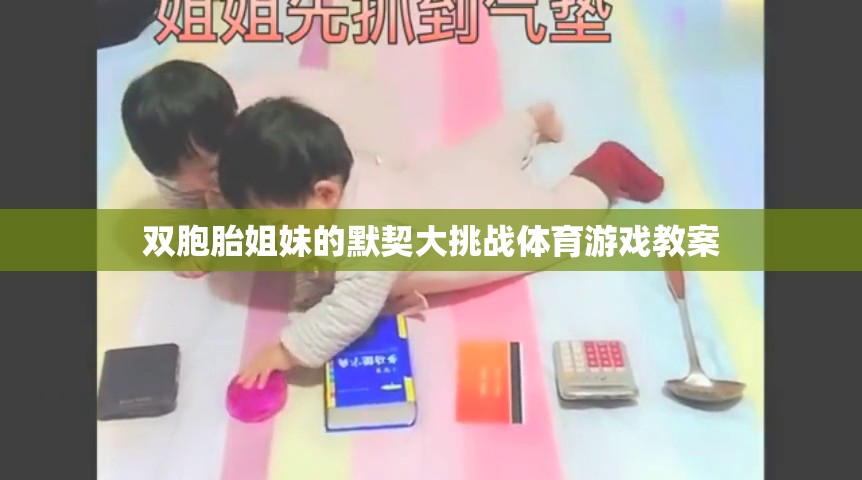 雙胞胎姐妹的默契大挑戰(zhàn)體育游戲教案