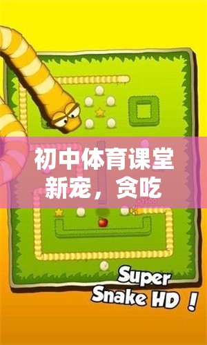 初中體育課堂新寵，貪吃蛇游戲的趣味與挑戰(zhàn)