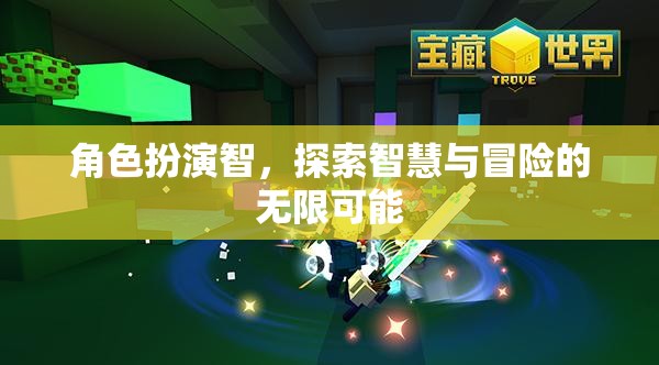 智者之旅，探索智慧與冒險(xiǎn)的無限可能