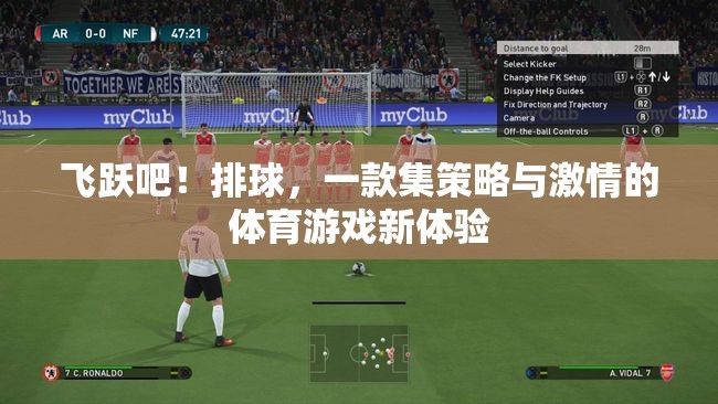 策略與激情的碰撞，飛躍吧！排球體育游戲新體驗