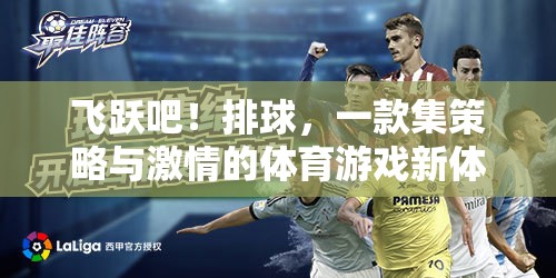 策略與激情的碰撞，飛躍吧！排球體育游戲新體驗