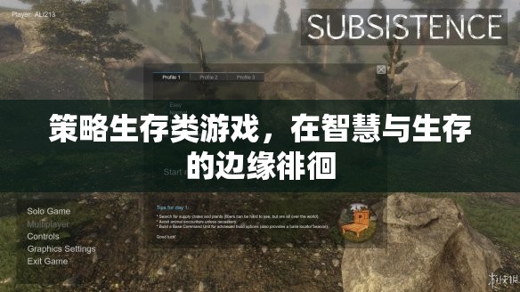 智慧與生存的邊緣，策略生存類游戲的挑戰(zhàn)與抉擇