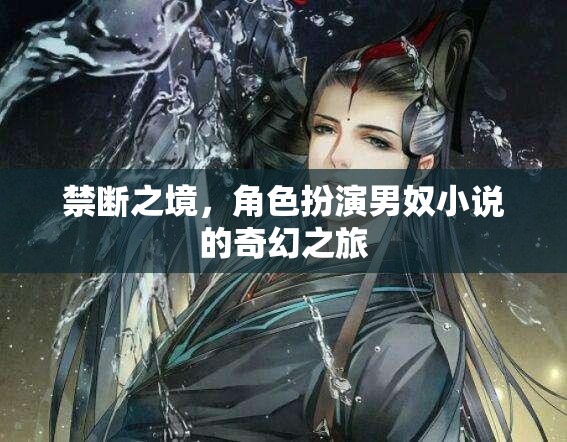 禁斷之境，男奴角色的奇幻冒險