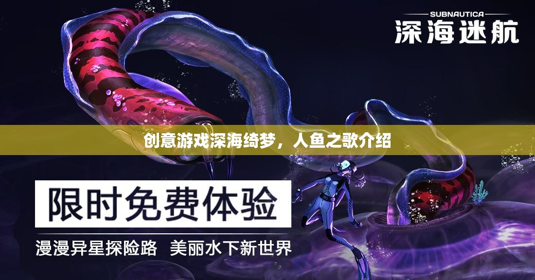 深海綺夢(mèng)，人魚之歌——探索神秘海洋的夢(mèng)幻之旅  第1張