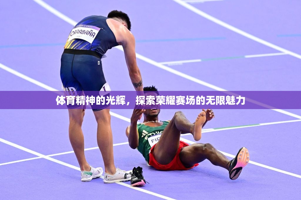 體育精神的光輝，探索榮耀賽場的無限魅力